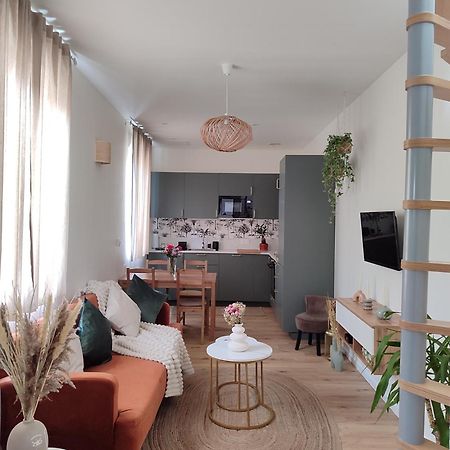 Maison Cosy Terrasse Ensoleille 克莱蒙费朗 外观 照片